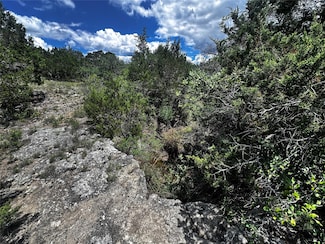 21114 Bertram Ln, Spicewood, TX 78669