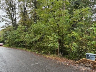 0 White Dogwood Ln, Lake Junaluska, NC 28786