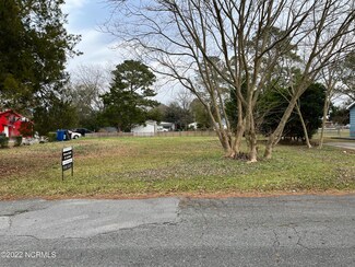 211 S Lee St, Beulaville, NC 28518