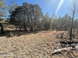 TBD Eldorado Dr, Timberon, NM 88350