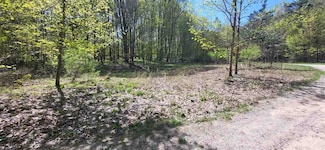 TBD Jordan Hills Dr, Echo Township, MI 49727