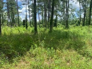 Lot #4 Hart Rd, Hammond, LA 70401