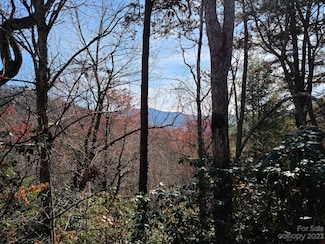 000000 Blue Vista Rd Unit 6, Canton, NC 28716