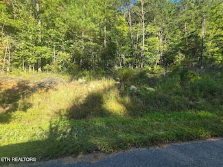 Lot 25-26 Summit Dr, Oneida, TN 37841