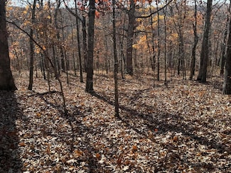 Lot 144 Forbes Lake of the Ozark Park, Edwards, MO 65326