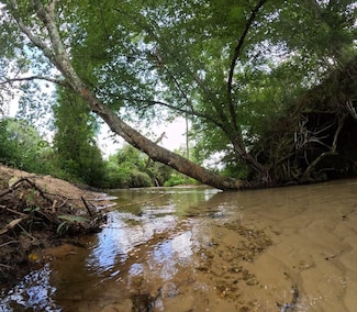 1608 Mississippi 586, Kokomo, MS 39643