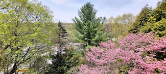 123 Washington Ave N, White Plains, NY 10603