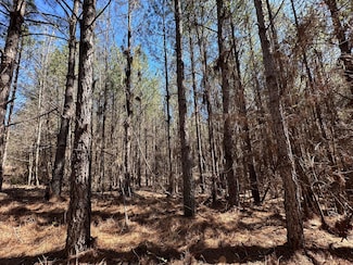 2 County Road 5112, Ethel, MS 38829