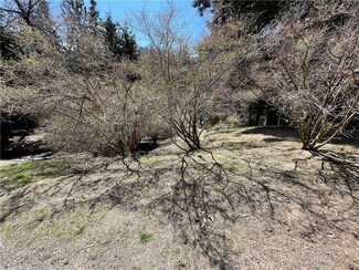 0 Potomac Dr Unit EV21066292, Lake Arrowhead, CA 92352