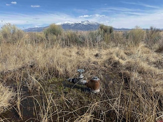 TBD County Road 6 S, Alamosa, CO 81101