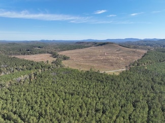 Dry Creek Rd, Piedmont, AL 36272