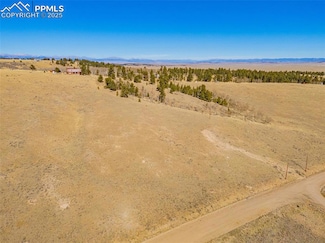 11414 Ranch Rd, Hartsel, CO 80449