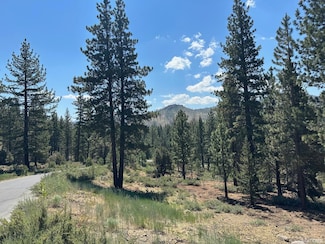 2 Raymond View Rd, Markleeville, CA 96120