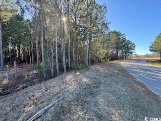 TBD Lot 3 Night Owl Ln, Conway, SC 29527