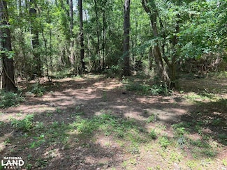 31033 Louisiana 1036, Holden, LA 70744