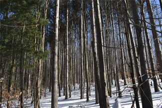 0 Bear Hollow Rd Unit R1098331, Great Valley, NY 14741