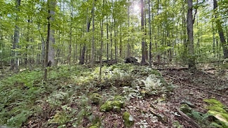 00 Walker Branch Rd, Dunlap, TN 37327