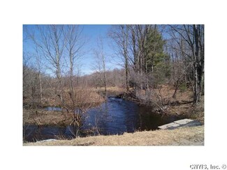 00 Voorhees Rd, Parish, NY 13131