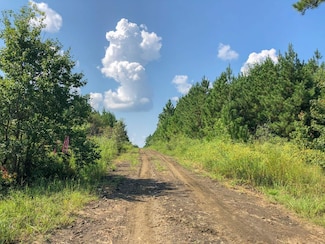 0 Fm 1746 Unit 22715261, Woodville, TX 75979