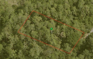 10170 N Abby Dr, Citrus Springs, FL 34434