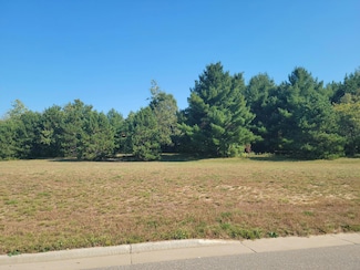 Lot 4 Charlotte St Range Rd, Boyceville, WI 54725