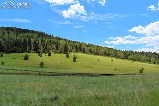 462 Cover Valley Rd, Guffey, CO 80820