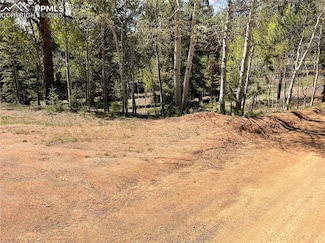 146 Gibson Rd, Westcliffe, CO 81252