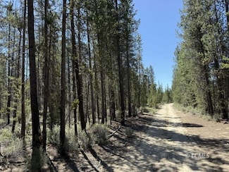 0 National Forest Development Road 9768 Unit 3007612, Crescent, OR 97733