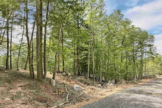 0 Innsbruck Dr Unit 5049880, New Durham, NH 03855