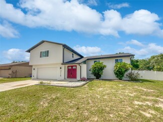 3116 Buttercup St, Seffner, FL 33584