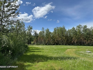 15800 E Shangrila Dr, Talkeetna, AK 99676