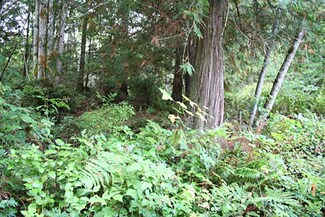 0 Laurel St, Port Hadlock, WA 98339