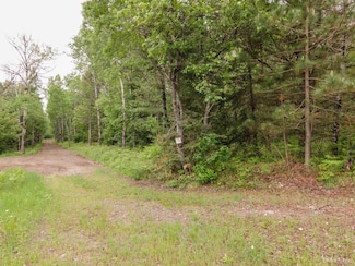 60 A. Ward's Trail, Iron River Township, MI 49935