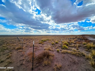 Lot 299 Carrizo Ranch, St. Johns, AZ 85936