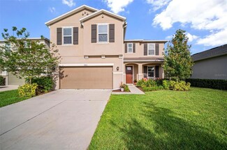11522 Palmetto Sands Ct, Tampa, FL 33626