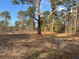 Lot 3 TBD County Road 4108, Henderson, TX 75654