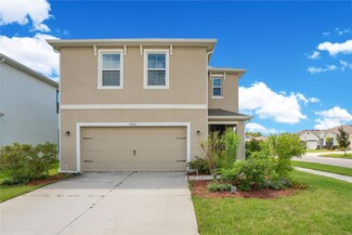 32612 Abby Lax Ln, Wesley Chapel, FL 33543