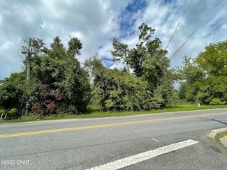 0 Carters Mill Rd Unit 767174, Marianna, FL 32446