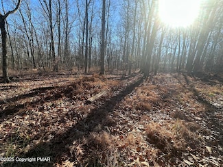 Lot 55 Tuscarora Ct, Beach Lake, PA 18405