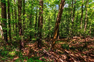 32 AC- Oak Hill Rd, Ellijay, GA 30540
