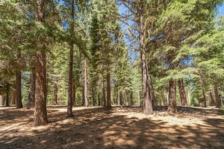 11274 China Camp Rd, Truckee, CA 96161