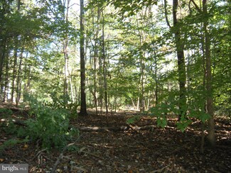 4 ACRES Ebenezer Rd, Millwood, VA 20135