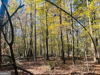 0 Stream View Dr Unit LOT 19, Conyers, GA 30013