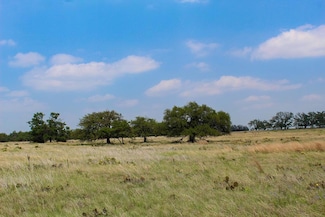 187 Nantan Ln Unit 51, Harper, TX 78631