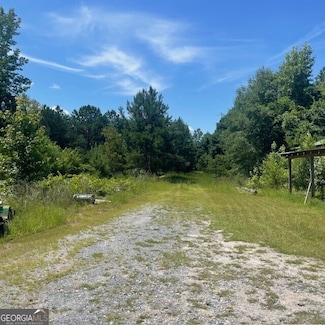 398 Woodyard Rd, Box Springs, GA 31801