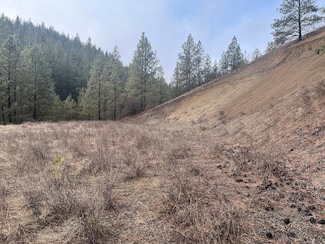 Lot 1 Aspen s/p Blue Grouse Dr E, Davenport, WA 99122