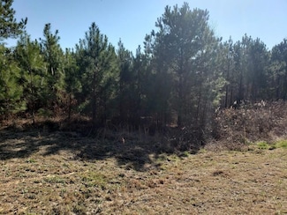 0 Stillwater Ln Unit 7652222, Double Springs, AL 35553