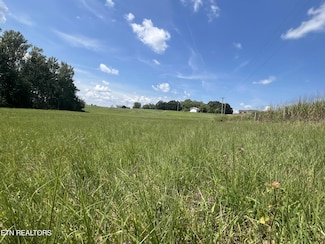 1002 Gum Springs Mountain Rd, Walling, TN 38587