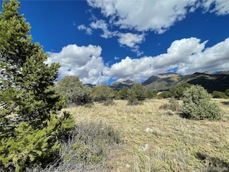 1566 N Rocky Mountain Trail, Crestone, CO 81131