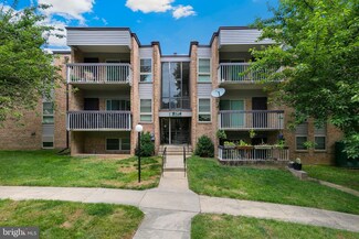2307 Greenery Ln Unit 203, Silver Spring, MD 20906
